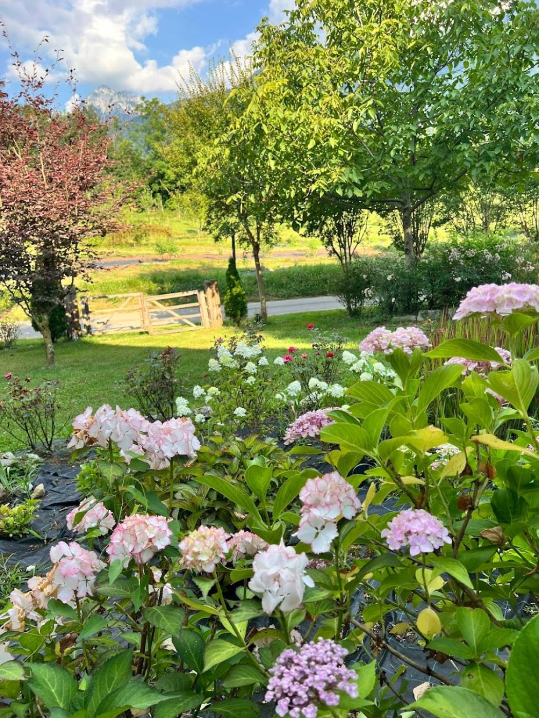 Sospirolo Casa Delle Arti Fattoria Dei Fiori 빌라 외부 사진