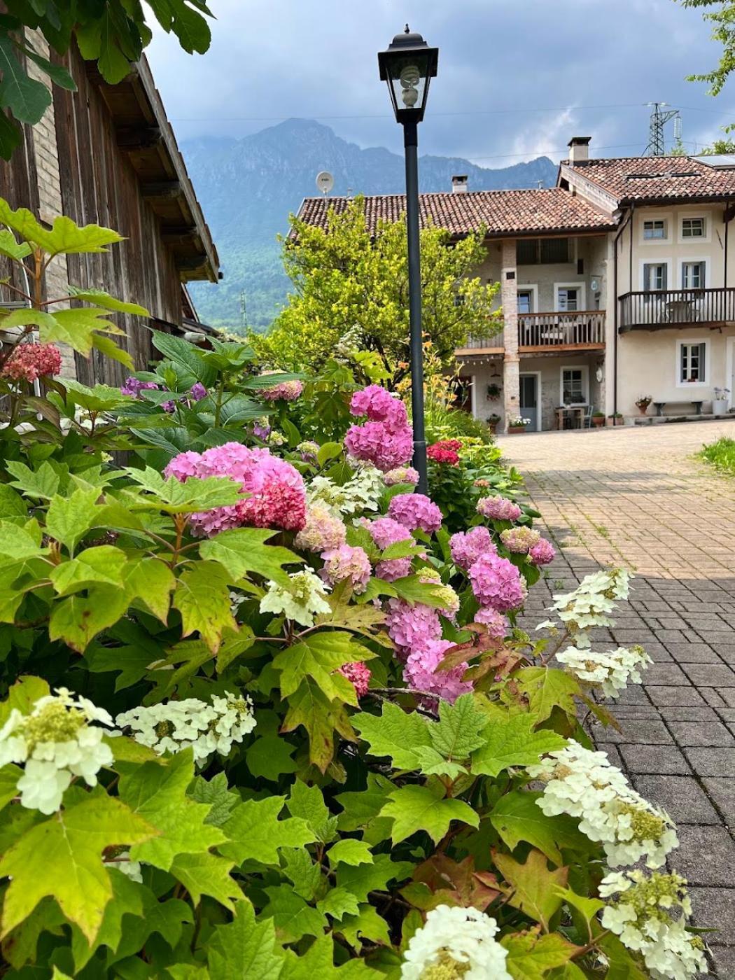 Sospirolo Casa Delle Arti Fattoria Dei Fiori 빌라 외부 사진