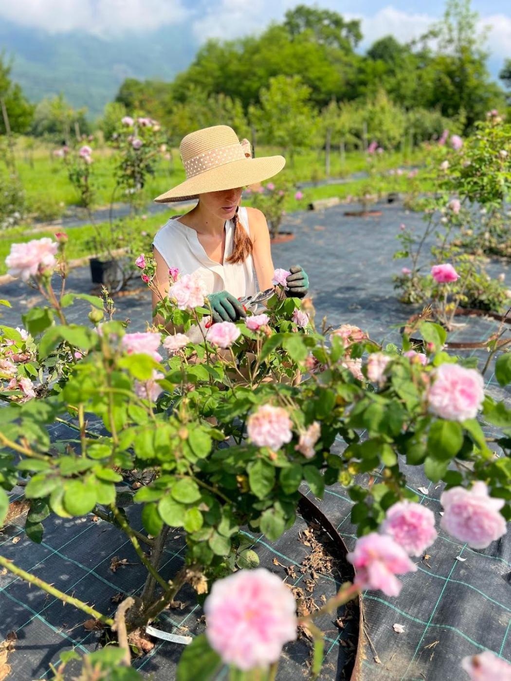 Sospirolo Casa Delle Arti Fattoria Dei Fiori 빌라 외부 사진